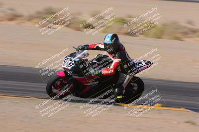 media/Dec-10-2023-SoCal Trackdays (Sun) [[0ce70f5433]]/Turn 9 Inside Set 2 (1115am)/